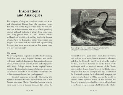 Pocket Book of Dragons