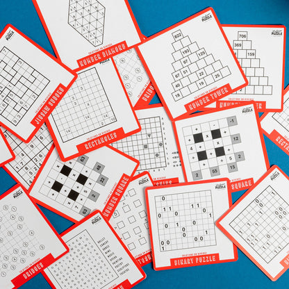 Puzzle a Day 365 Brain Puzzles