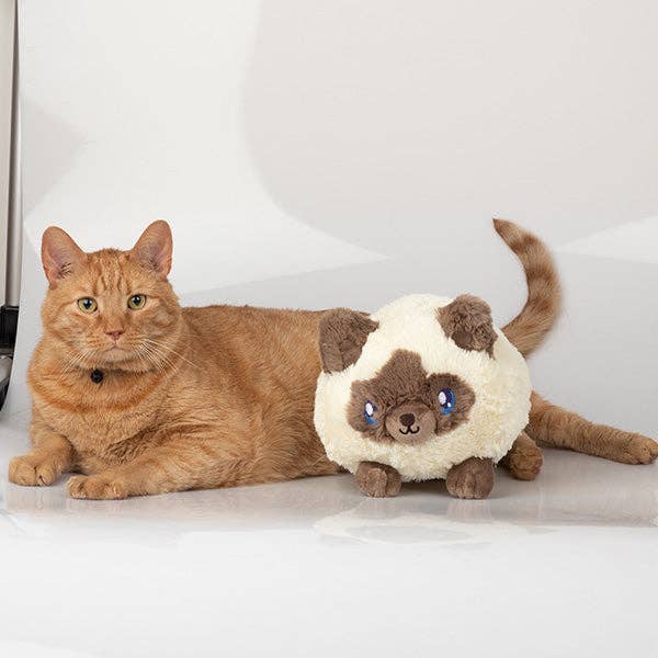 Squishable - Mini Colorpoint Plush