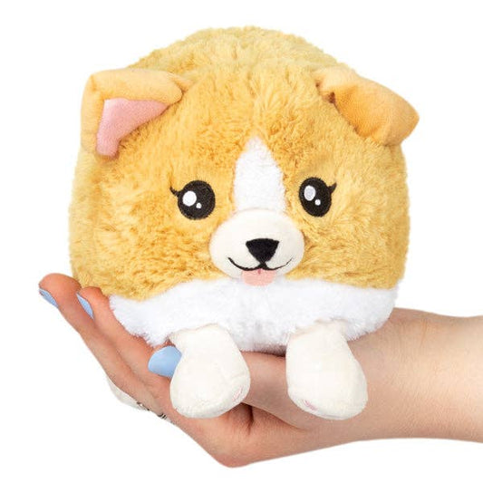 Squishable - Snacker Baby Corgi Plush