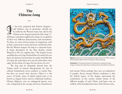 Pocket Book of Dragons